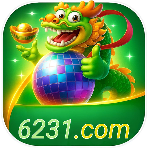6231.com